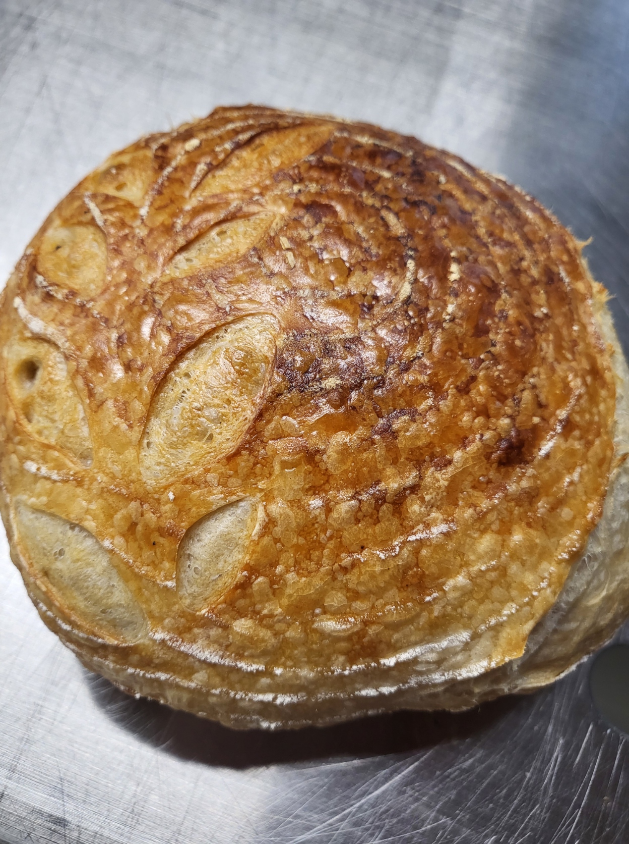 Shaping dough at Neighborhood Breads